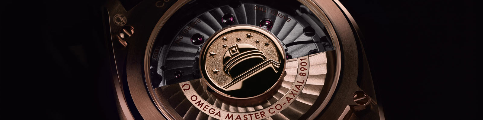 尊霸腕表 - 背景