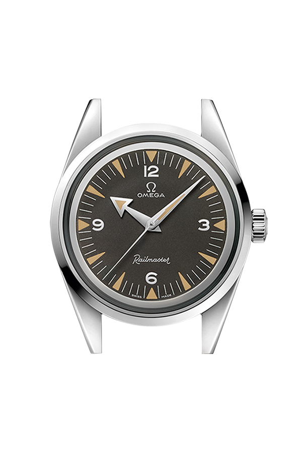 海马系列 欧米茄铁霸腕表 with a nato strap