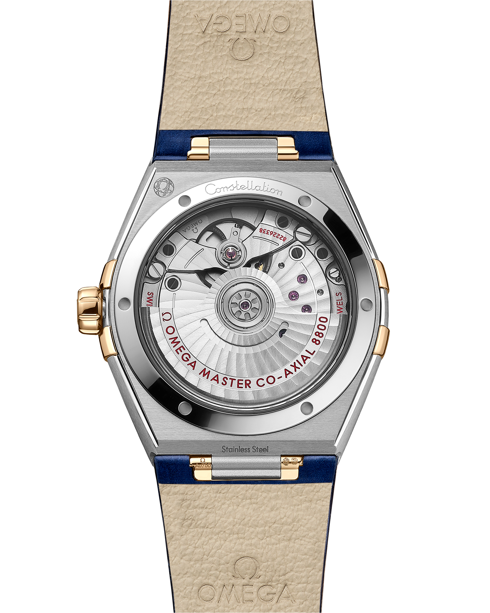 星座系列 36毫米, 精钢-黄色18 k金表壳 搭配 皮表带 - 131.28.36.20.53.001 - 影像 2