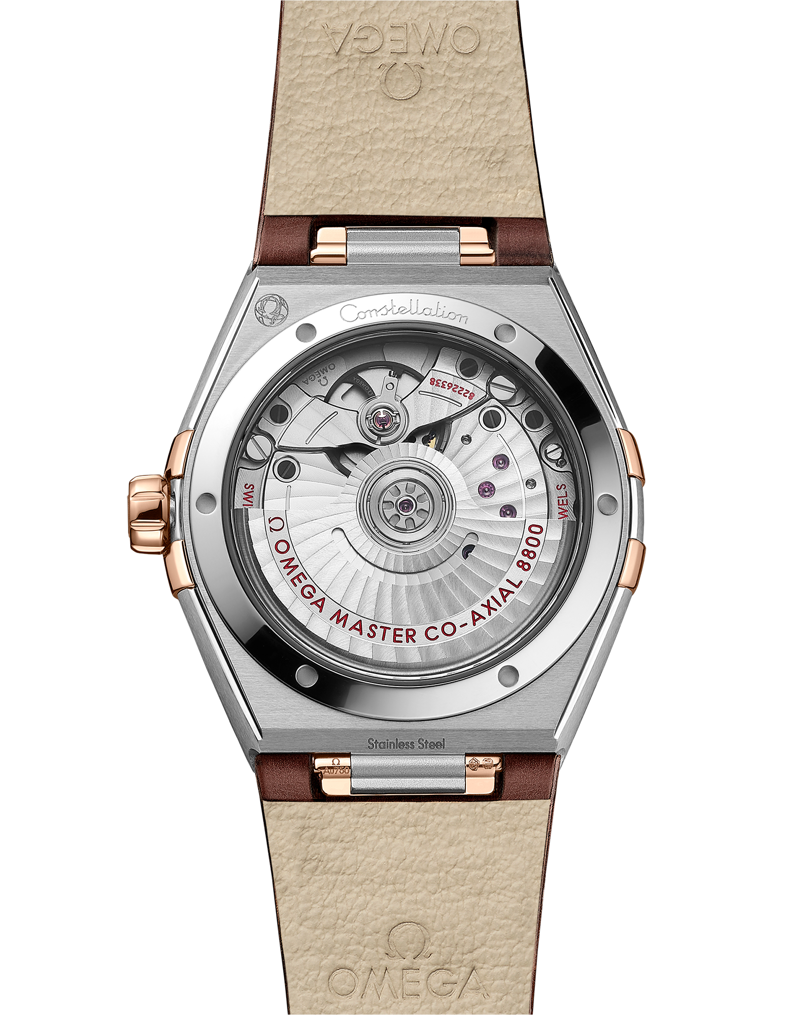 星座系列 36毫米, 精钢-Sedna™ 18k金表壳 搭配 皮表带 - 131.28.36.20.63.001 - 影像 2