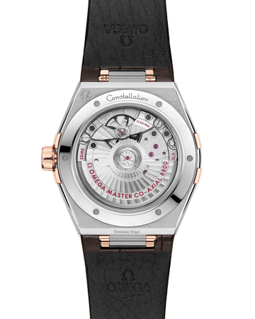 星座系列 39毫米, 精钢-Sedna™ 18k金表壳 搭配 皮表带 - 131.23.39.20.02.001 - 影像 2