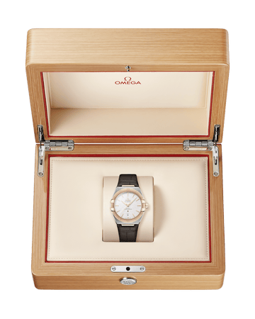 星座系列 39毫米, 精钢-Sedna™ 18k金表壳 搭配 皮表带 - 131.23.39.20.02.001 - 影像 3