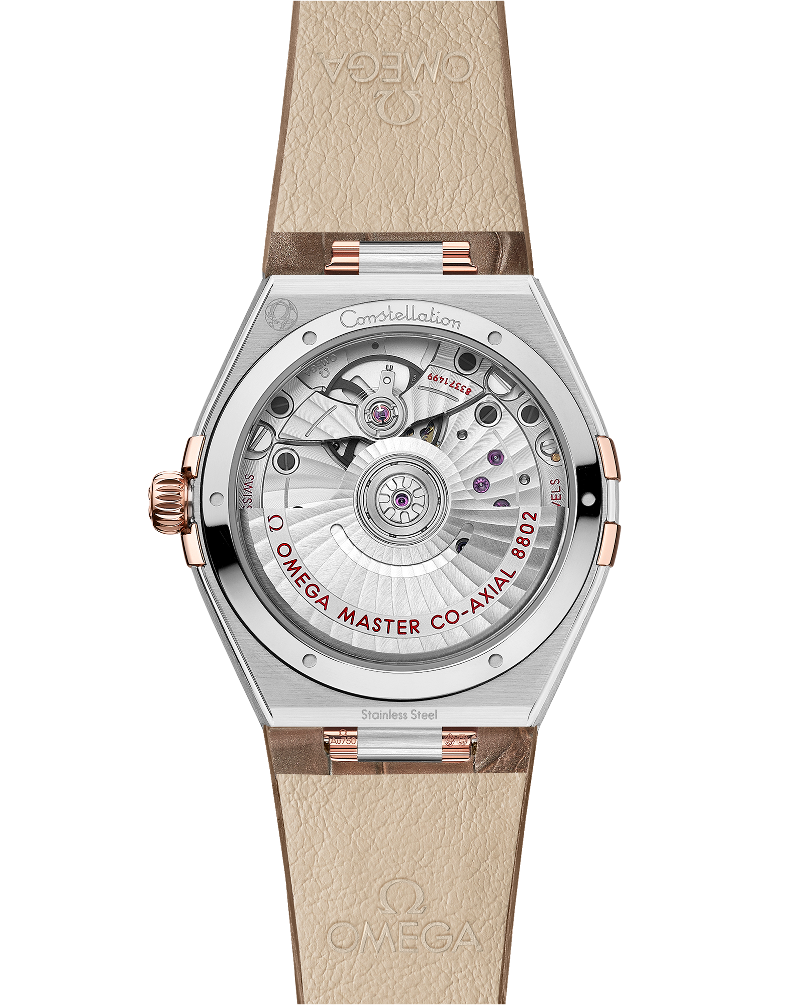 星座系列 34毫米, 精钢-Sedna™ 18k金表壳 搭配 皮表带 - 131.23.34.20.63.001 - 影像 2