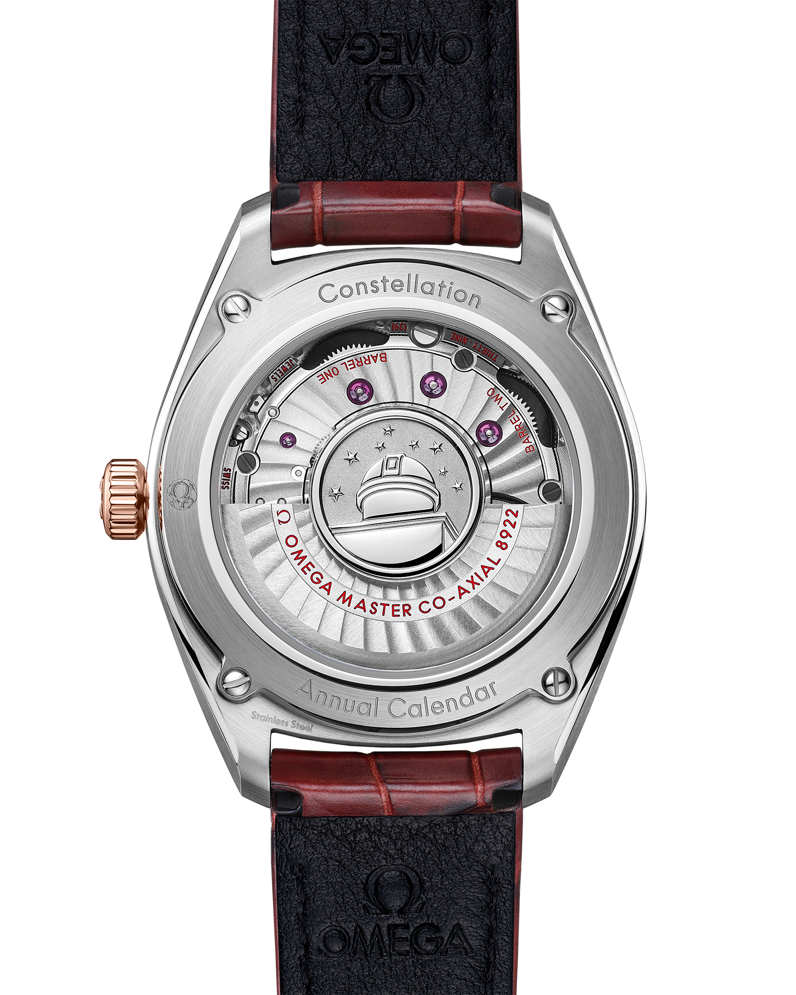 星座系列 尊霸腕表 41毫米, 精钢-Sedna™ 18k金表壳 搭配 皮表带 - 130.23.41.22.11.001 - 影像 2