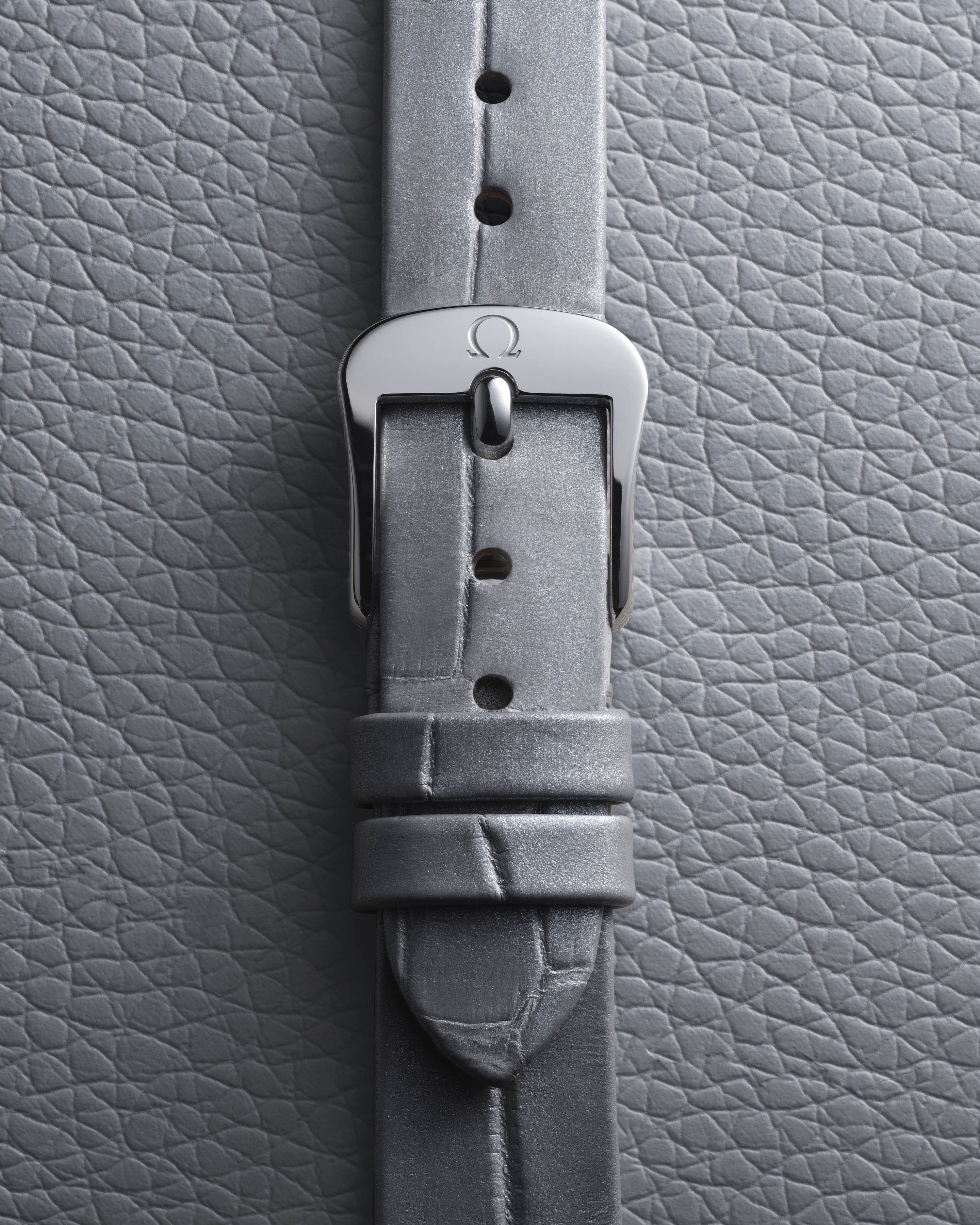 碟飞系列 Mini名典腕表 26毫米, 精钢表壳 搭配 鳄鱼皮 - 428.18.26.60.04.001 - 影像 6