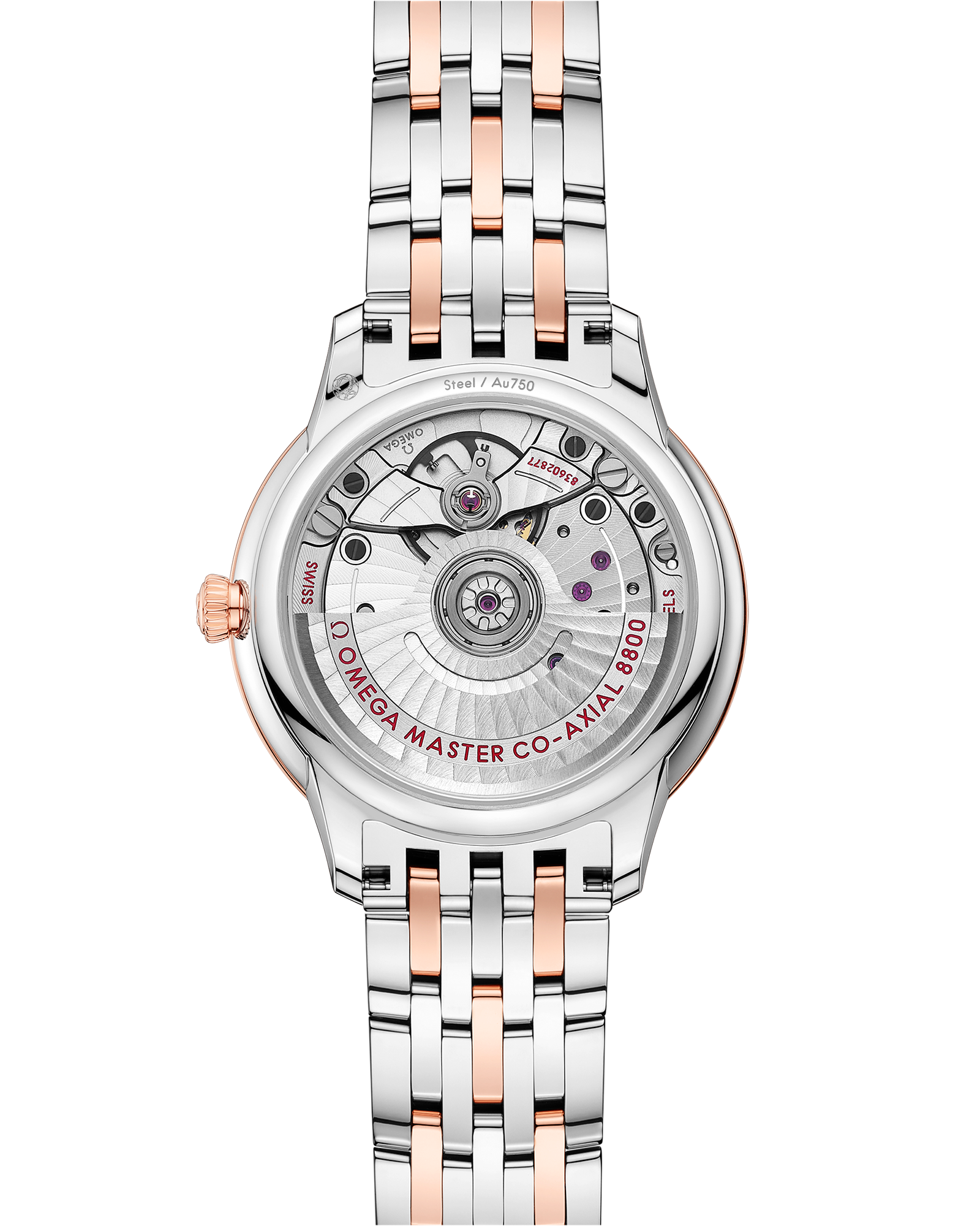 碟飞系列 典雅腕表 34毫米, 精钢-Sedna™ 18k金表壳 搭配 精钢-Sedna™ 18k金表链 - 434.20.34.20.02.003 - 影像 2