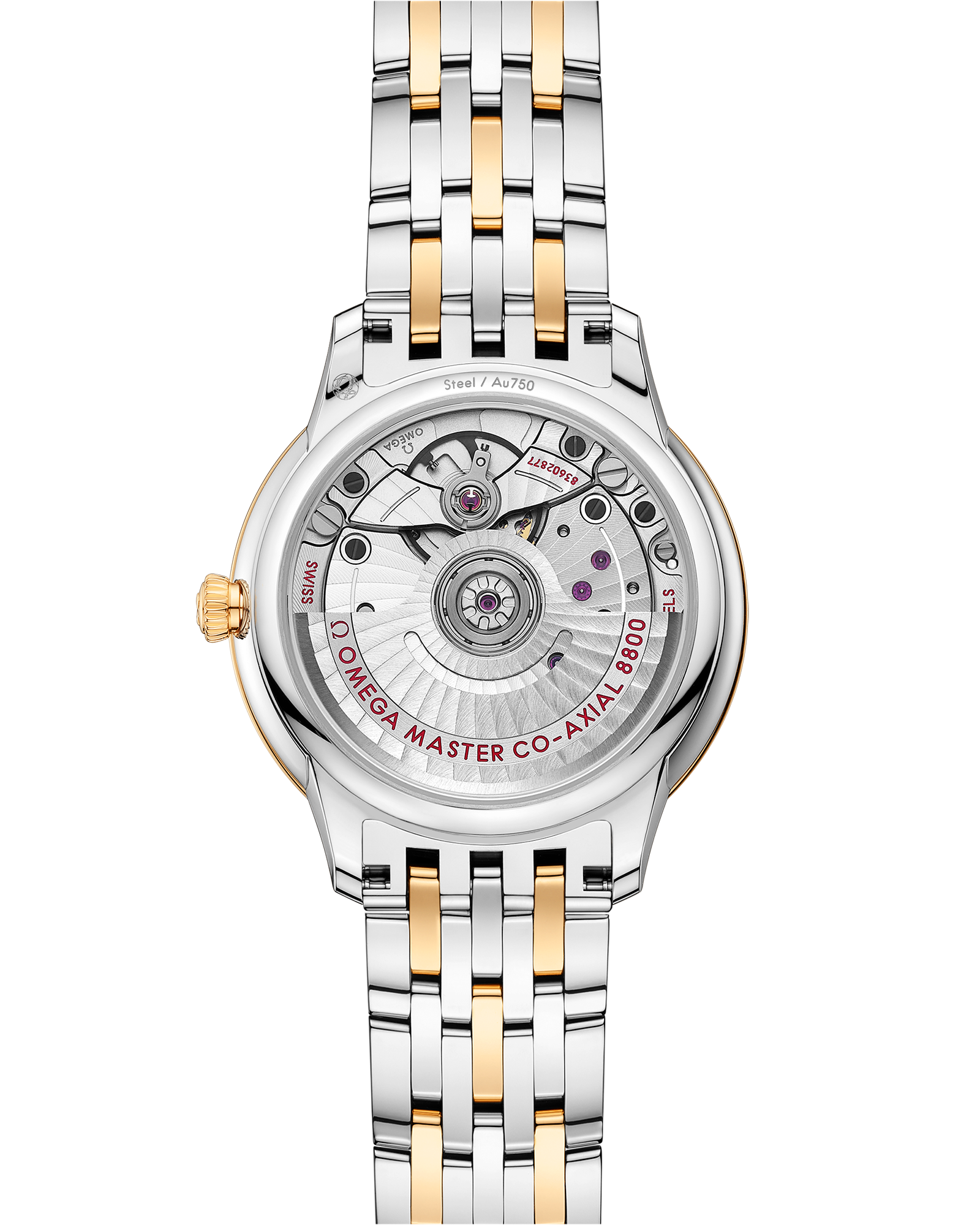 碟飞系列 典雅腕表 34毫米, 精钢-黄色18 k金表壳 搭配 精钢-黄色18 k金表链 - 434.20.34.20.08.001 - 影像 2