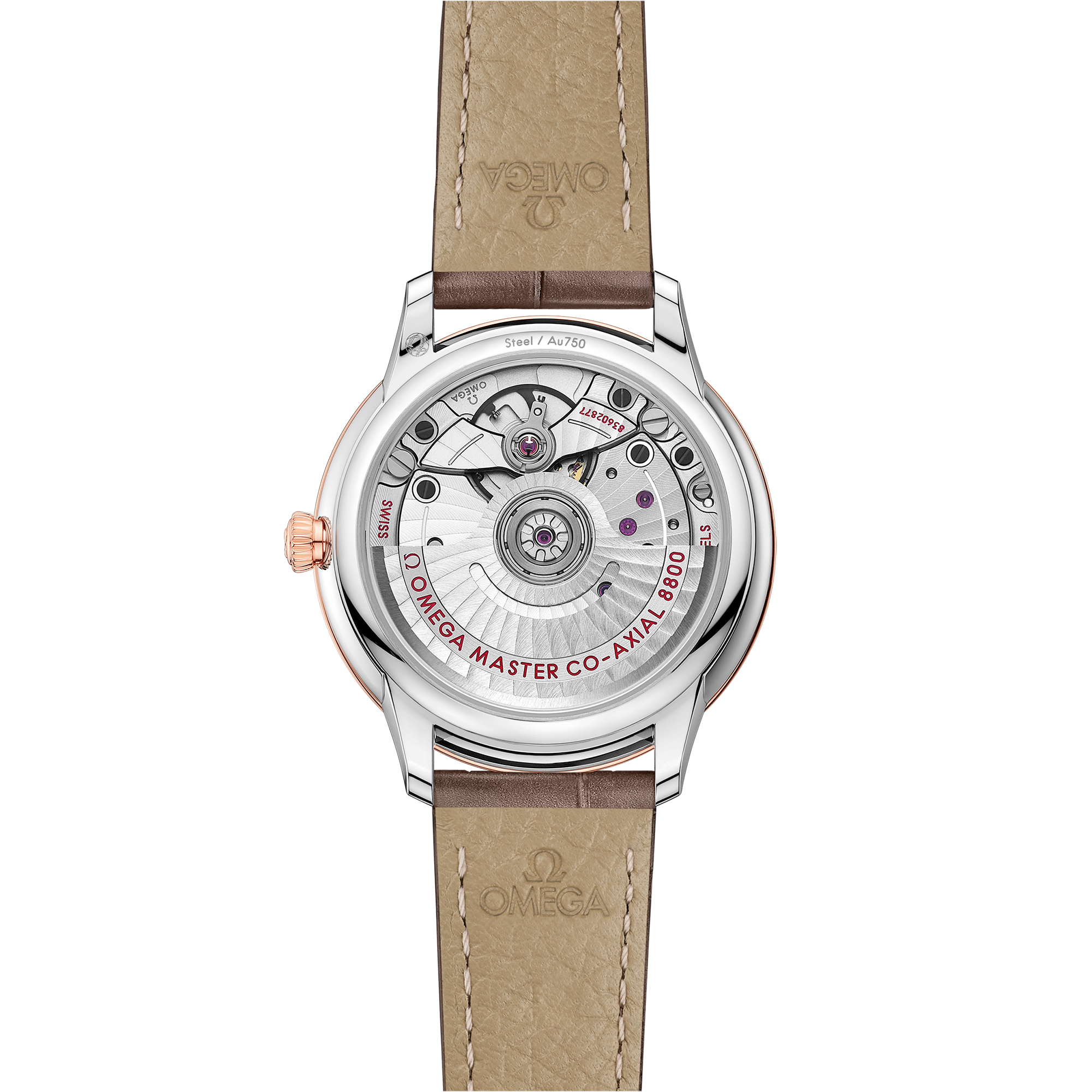 碟飞系列 典雅腕表 34毫米, 精钢-Sedna™ 18k金表壳 搭配 皮表带 - 434.23.34.20.52.001 - 影像 2