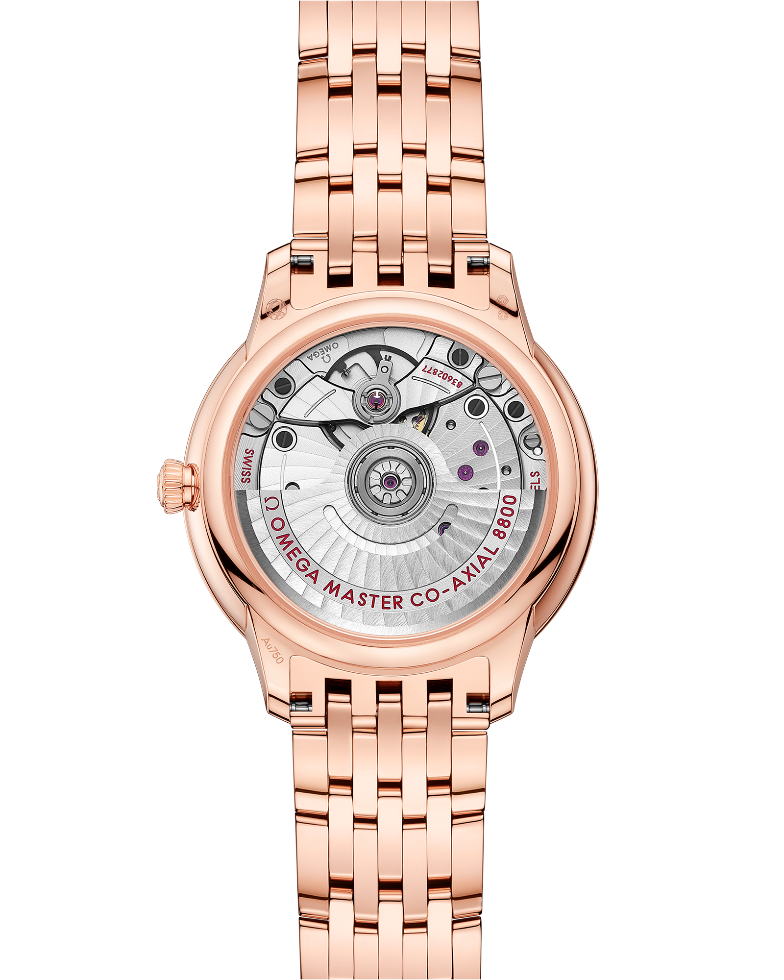 碟飞系列 典雅腕表 34毫米, Sedna™ 18k金表壳 搭配 Sedna™ 18k金表链 - 434.55.34.20.61.001 - 影像 2