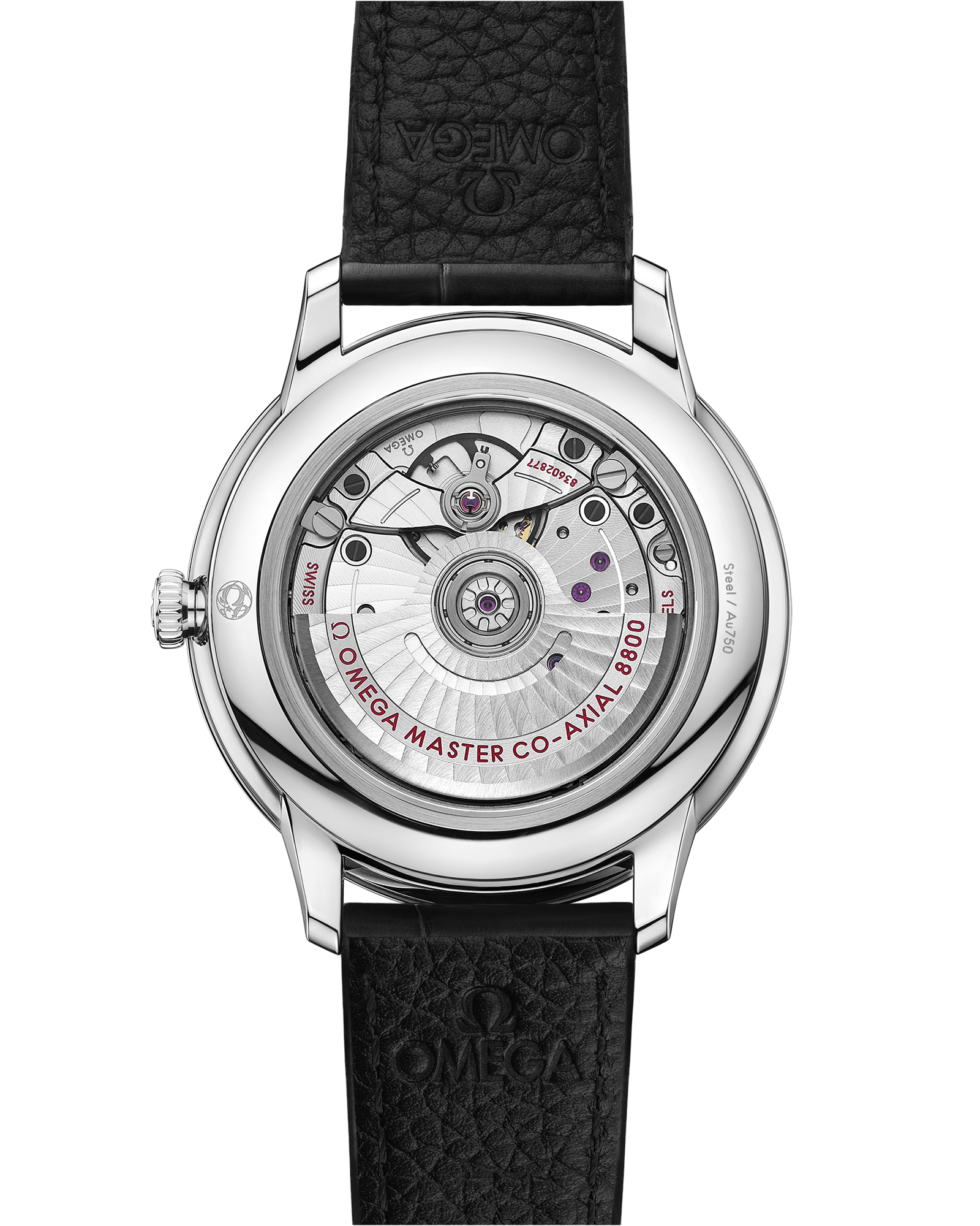 碟飞系列 典雅腕表 40毫米, 精钢表壳 搭配 皮表带 - 434.13.40.20.01.001 - 影像 2