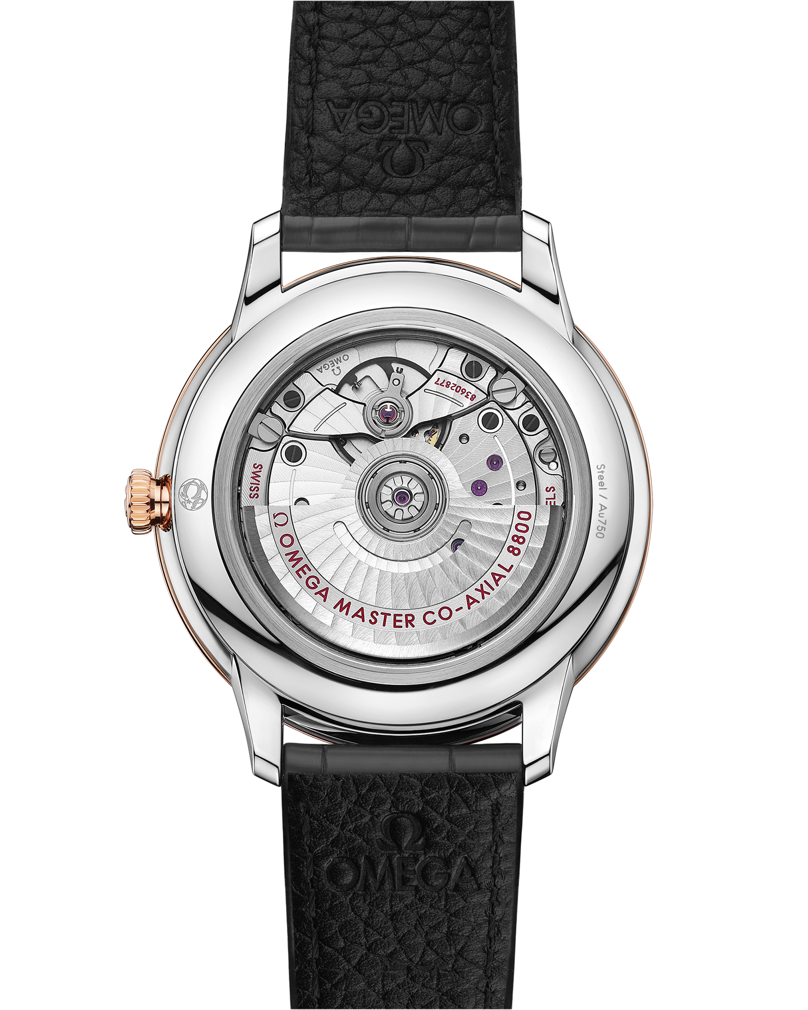 碟飞系列 典雅腕表 40毫米, 精钢-Sedna™ 18k金表壳 搭配 皮表带 - 434.23.40.20.06.001 - 影像 2