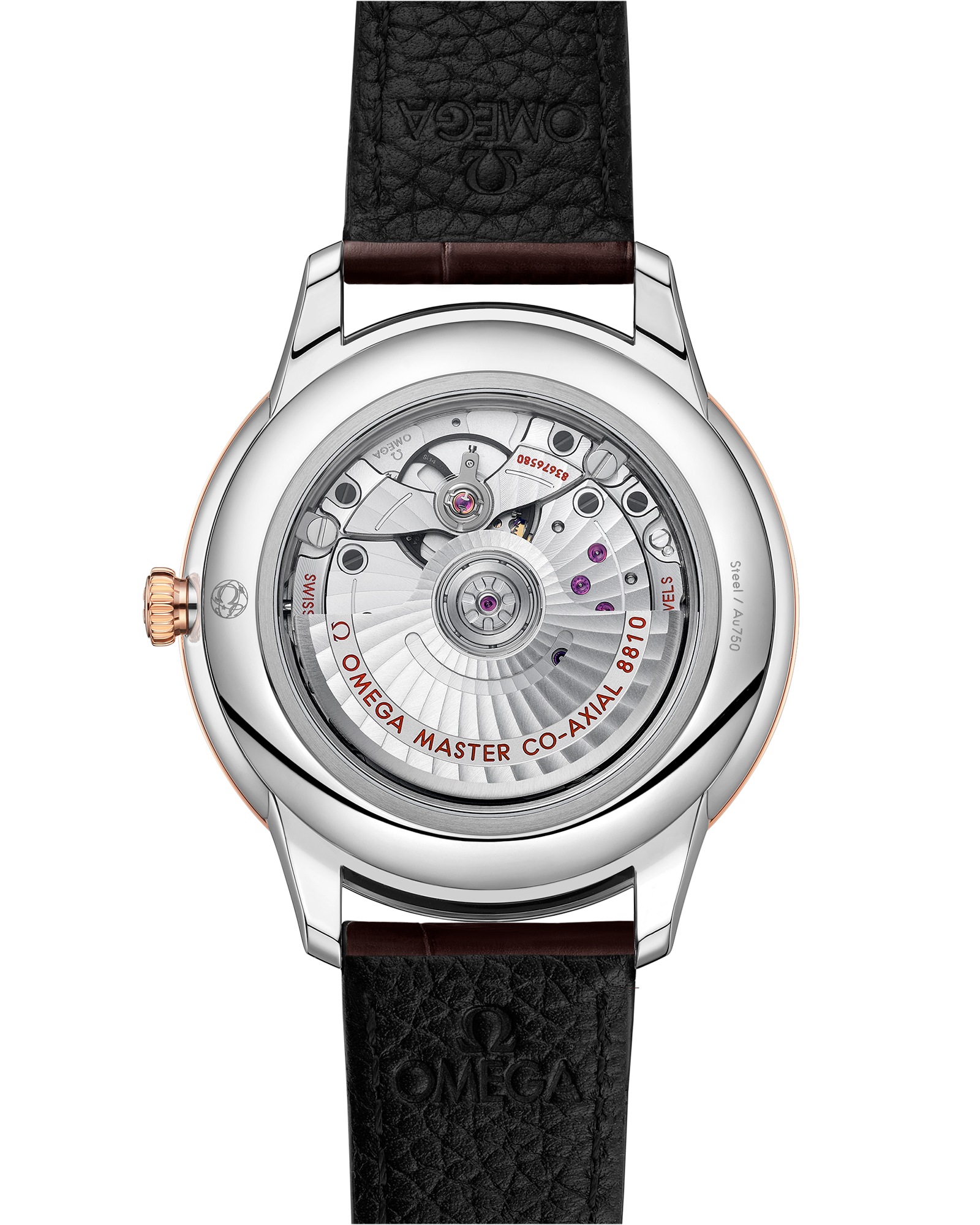 碟飞系列 典雅腕表 41毫米, 精钢-Sedna™ 18k金表壳 搭配 皮表带 - 434.23.41.21.09.001 - 影像 2