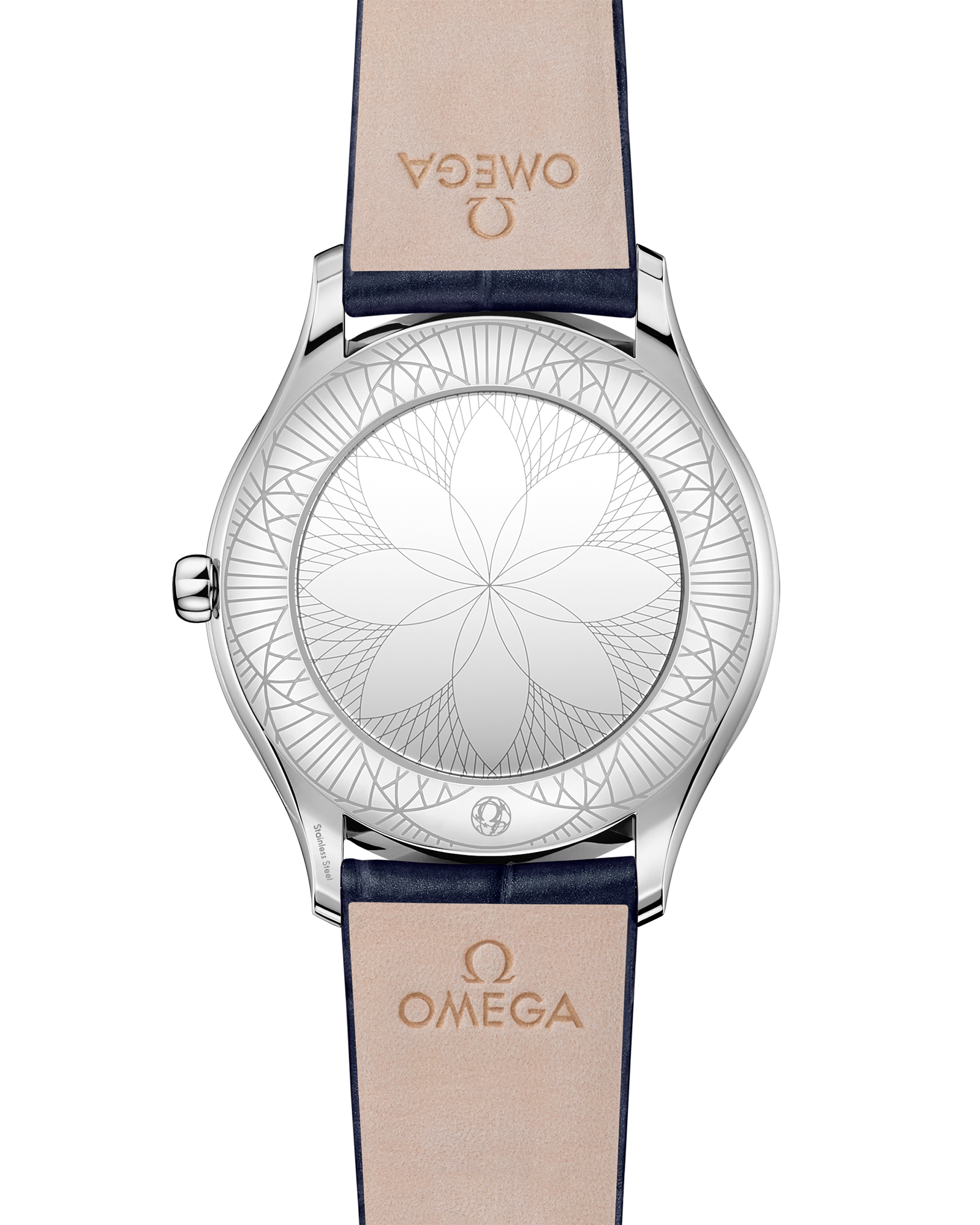 碟飞系列 名典腕表 36毫米, 精钢表壳 搭配 皮表带 - 428.18.36.60.03.001 - 影像 2