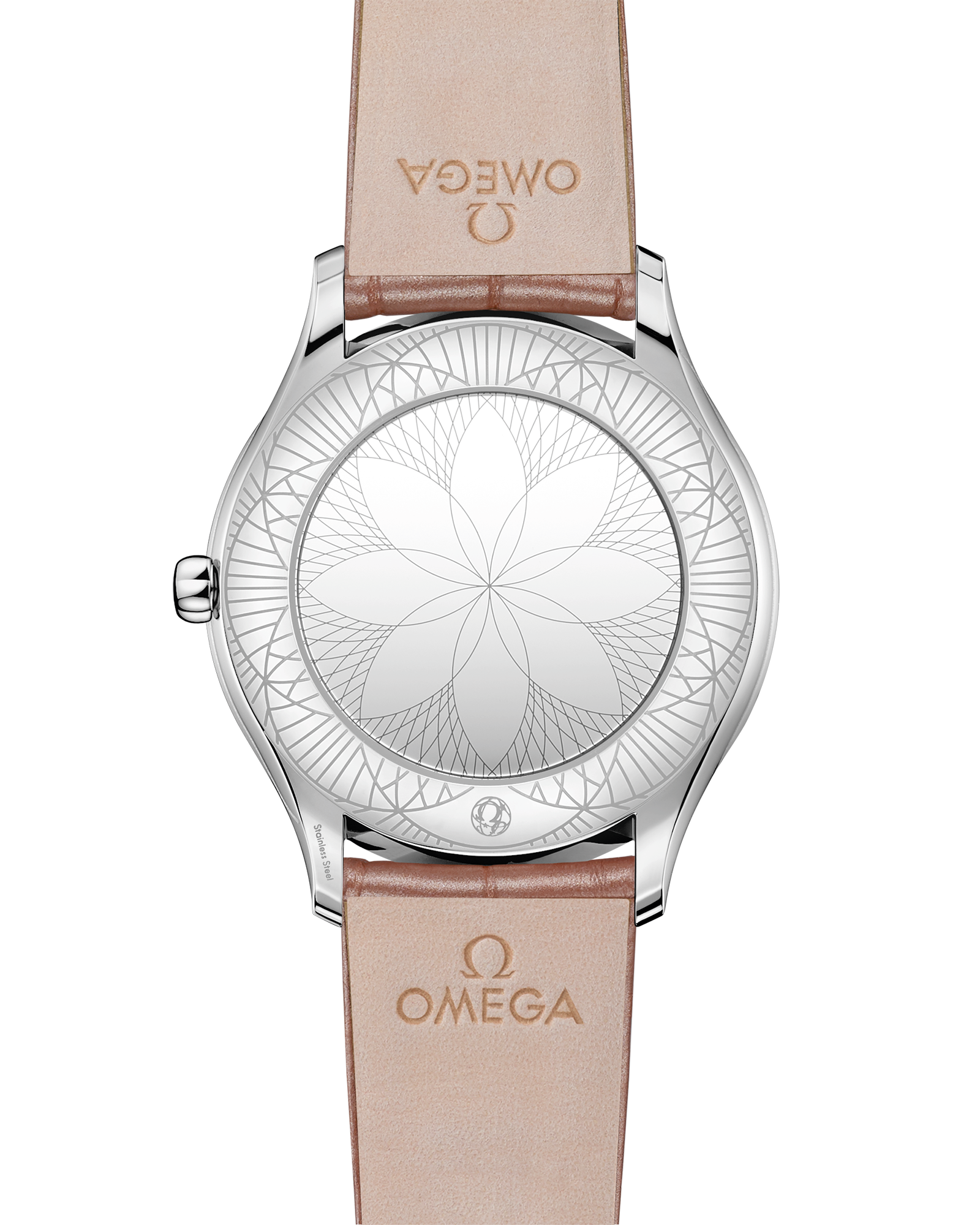 碟飞系列 名典腕表 36毫米, 精钢表壳 搭配 皮表带 - 428.18.36.60.05.002 - 影像 2