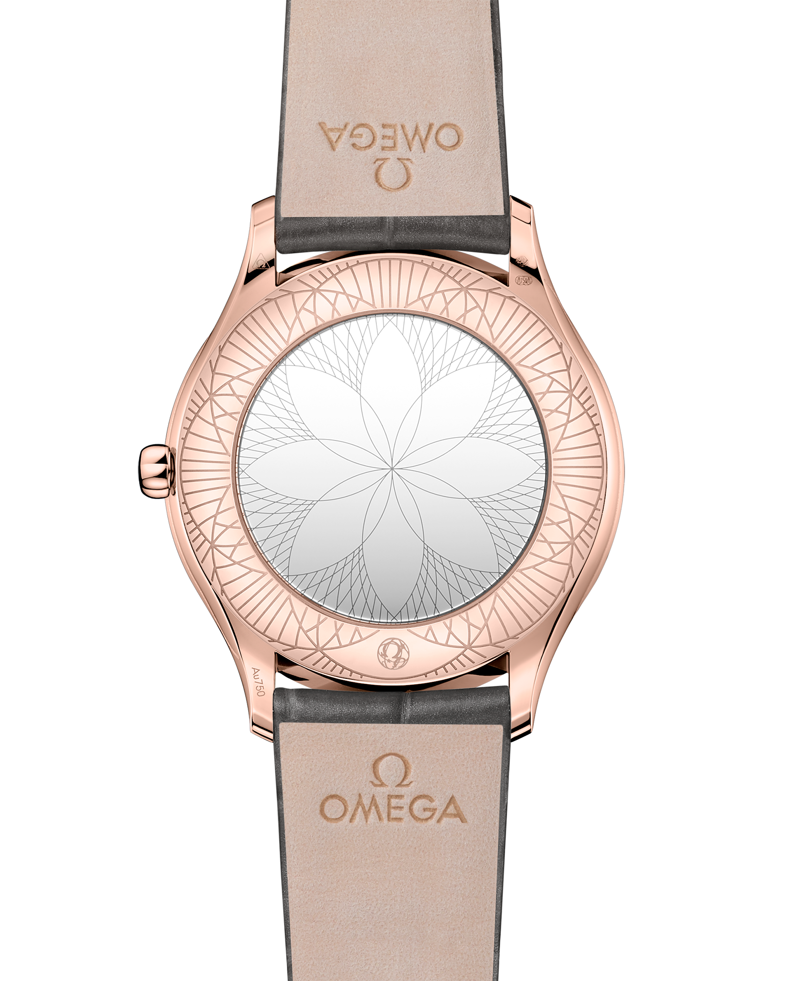 碟飞系列 名典腕表 36毫米, Sedna™ 18k金表壳 搭配 皮表带 - 428.58.36.60.02.001 - 影像 2