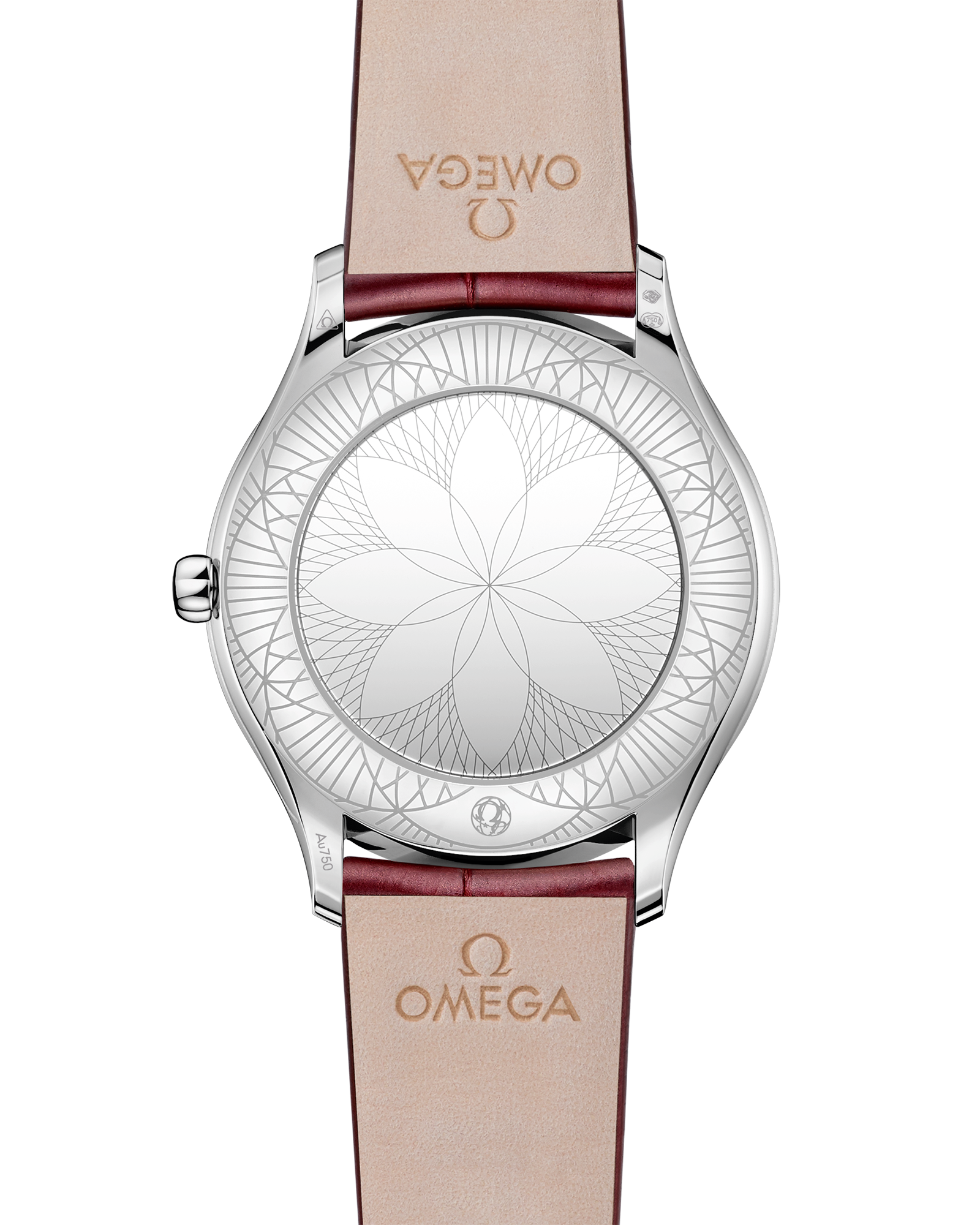 碟飞系列 名典腕表 36毫米, Canopus 18k金 搭配 皮表带 - 428.58.36.60.55.001 - 影像 2