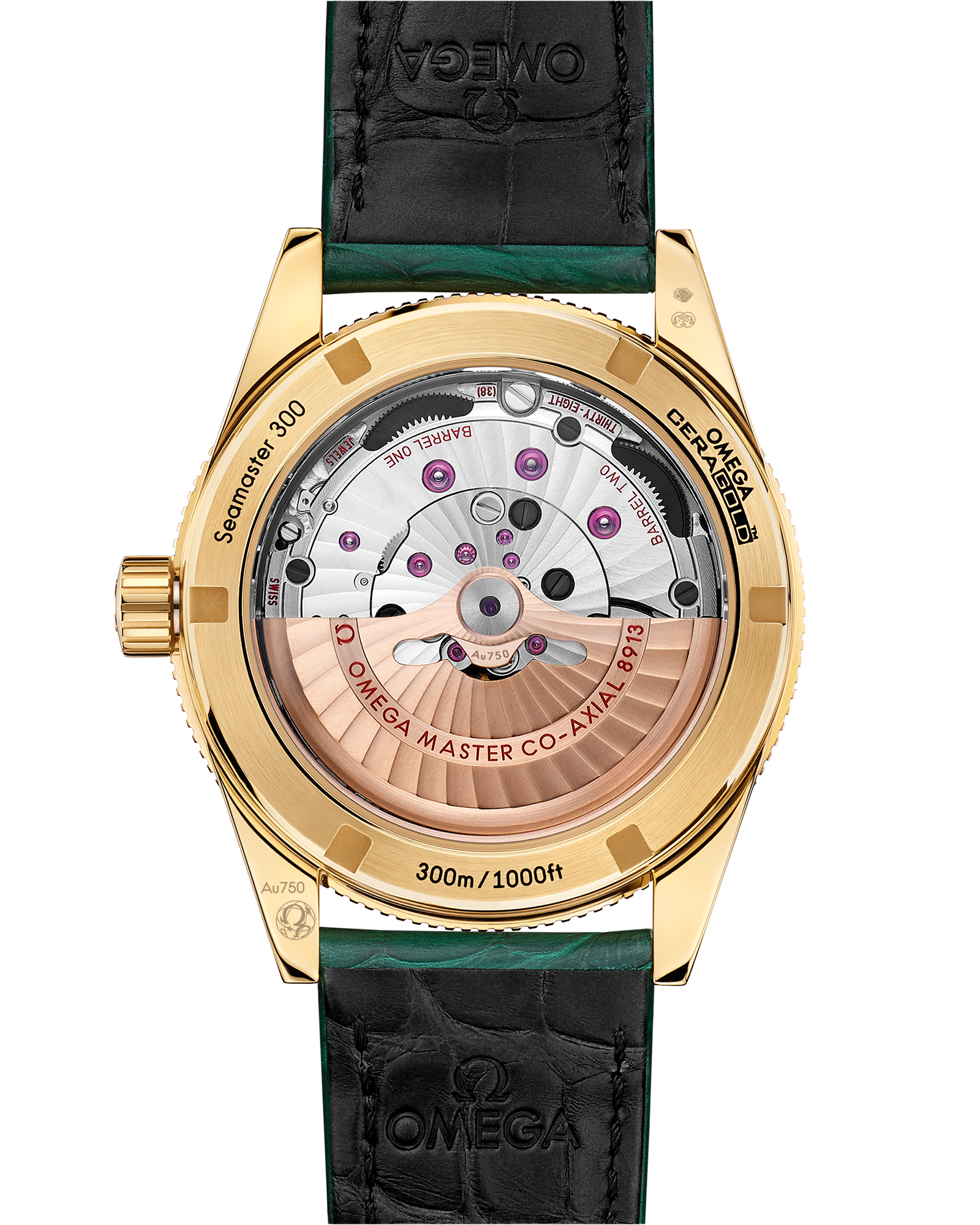 海马系列 海马300 41毫米, 黄色18 k金表壳 搭配 皮表带 - 234.63.41.21.99.001 - 影像 2