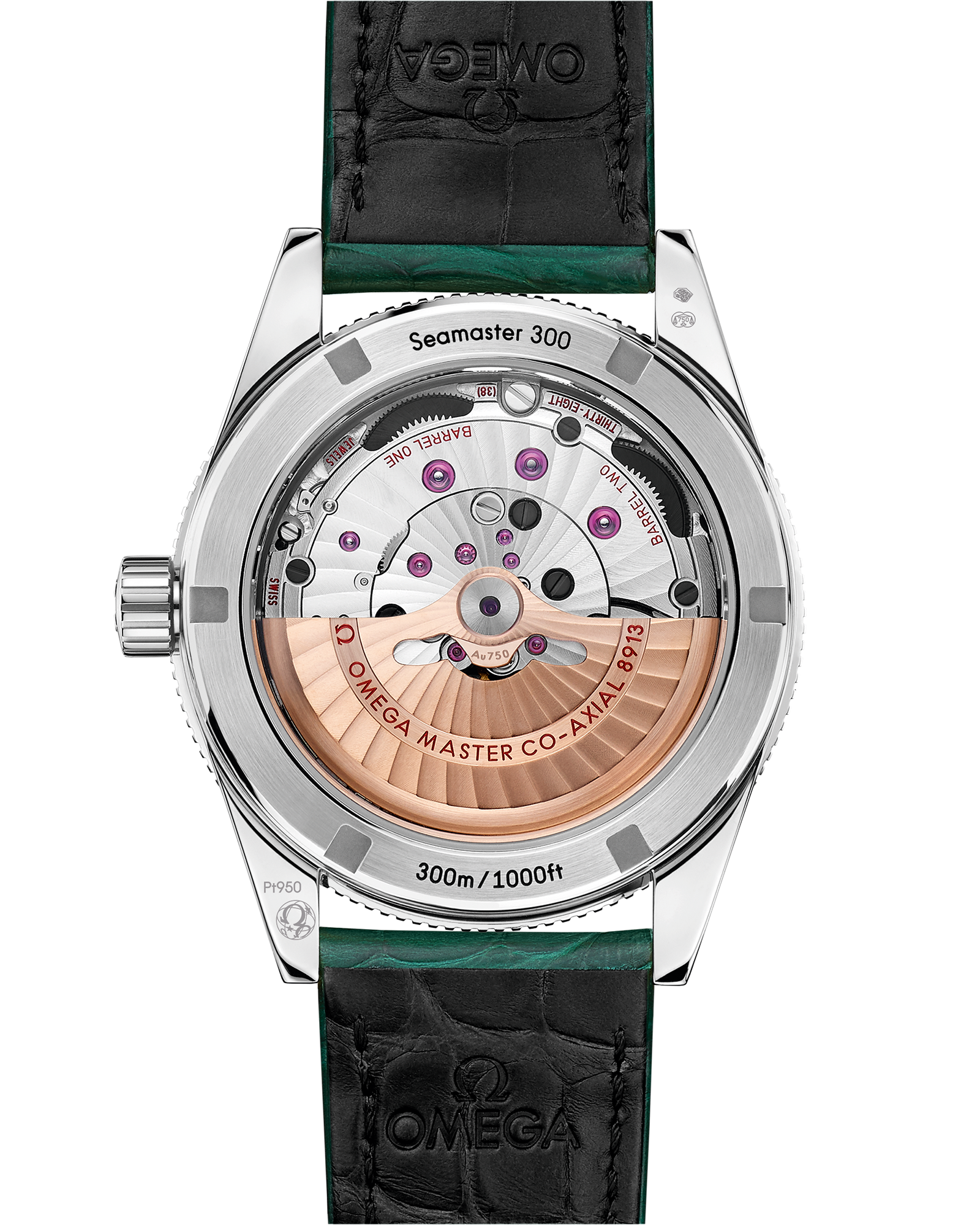 海马系列 海马300 41毫米, 铂金 搭配 皮表带 - 234.93.41.21.99.001 - 影像 2