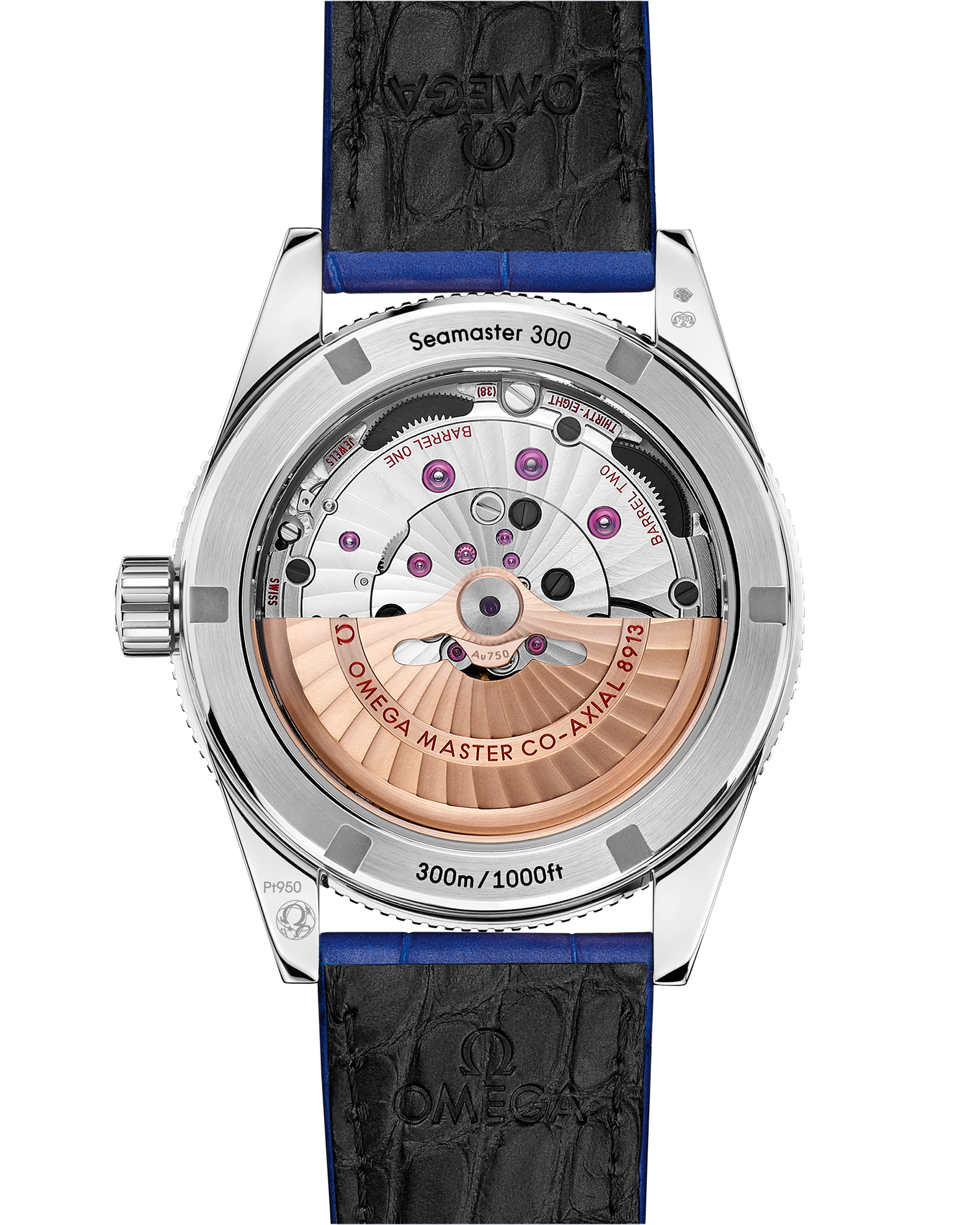 海马系列 海马300 41毫米, 铂金 搭配 皮表带 - 234.93.41.21.99.002 - 影像 2