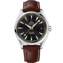 海马系列 AQUA TERRA 150米腕表 41.5毫米, 精钢表壳 搭配 皮表带 - 23112422101001