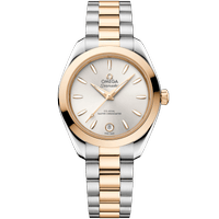 海马系列 AQUA TERRA 150米<span class="nowrap">腕表</span> 30毫米, 精钢-Moonshine 18K金表壳 搭配 精钢-Moonshine 18K金表链 - 22020302002001
