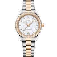 海马系列 AQUA TERRA 150米<span class="nowrap">腕表</span> 30毫米, 精钢-Moonshine 18K金表壳 搭配 精钢-Moonshine 18K金表链 - 22025302055001