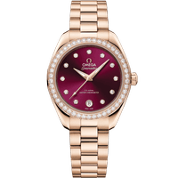 海马系列 AQUA TERRA 150米<span class="nowrap">腕表</span> 30毫米, Sedna 18K金表壳 搭配 Sedna 18K金表链 - 22055302061001