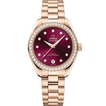 腕表的表壳采用Sedna™ 18k金表壳材质打造，搭配红色表盘和Sedna™ 18k金表链 bracelet - 海马系列 AQUA TERRA 150米<span class="nowrap">腕表</span> 30毫米, Sedna 18K金表壳 搭配 Sedna 18K金表链 - 22055302061001