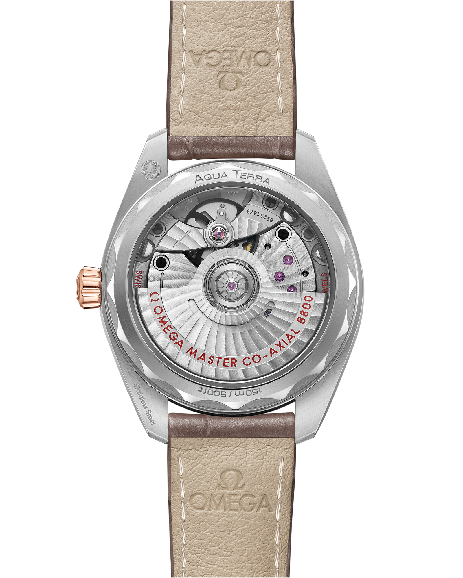 海马系列 AQUA TERRA 150米腕表 34毫米, 精钢-Sedna™ 18k金表壳 搭配 皮表带 - 220.23.34.20.06.001 - 影像 2