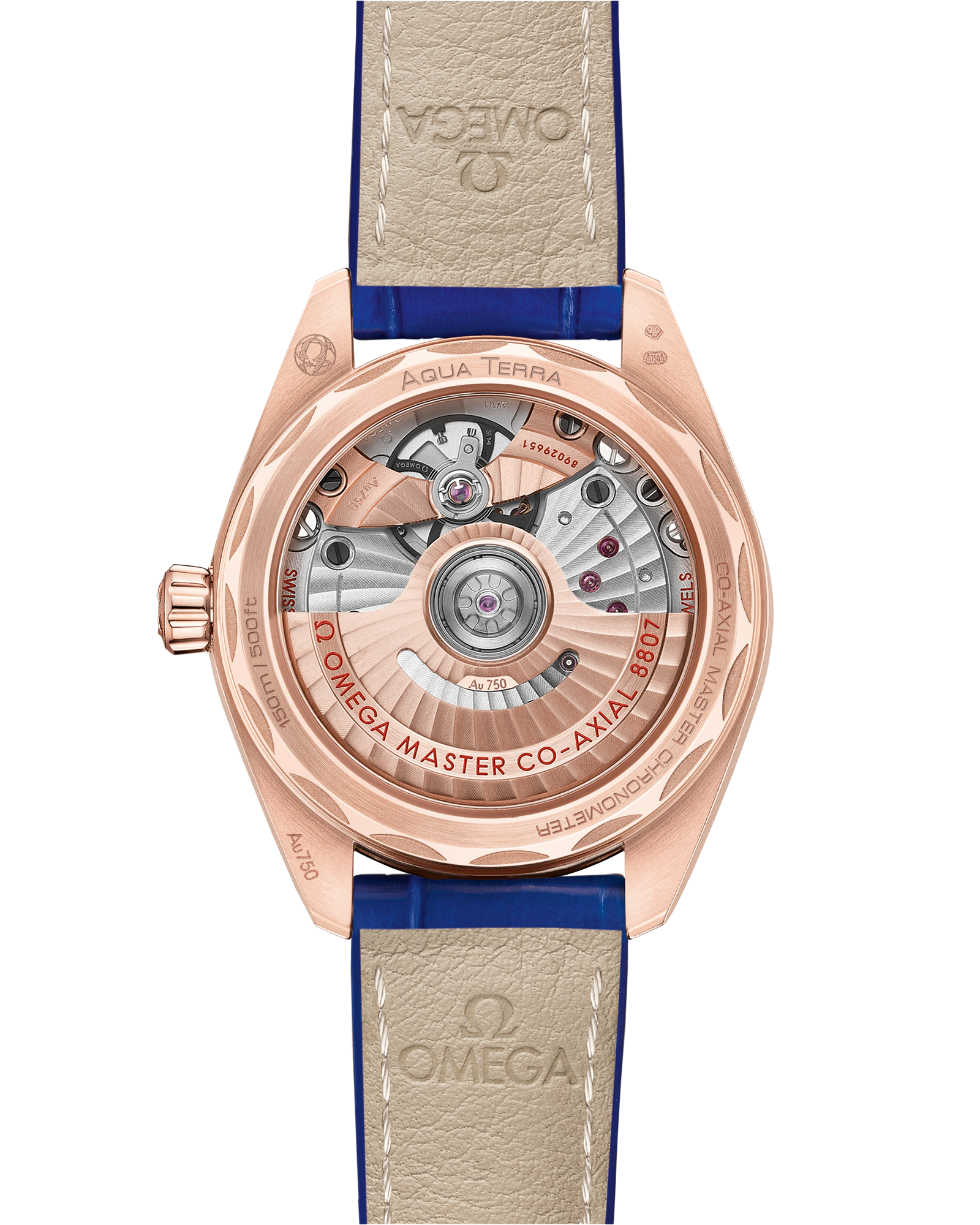 海马系列 AQUA TERRA 150米腕表 34毫米, Sedna™ 18k金表壳 搭配 皮表带 - 220.58.34.20.99.002 - 影像 2