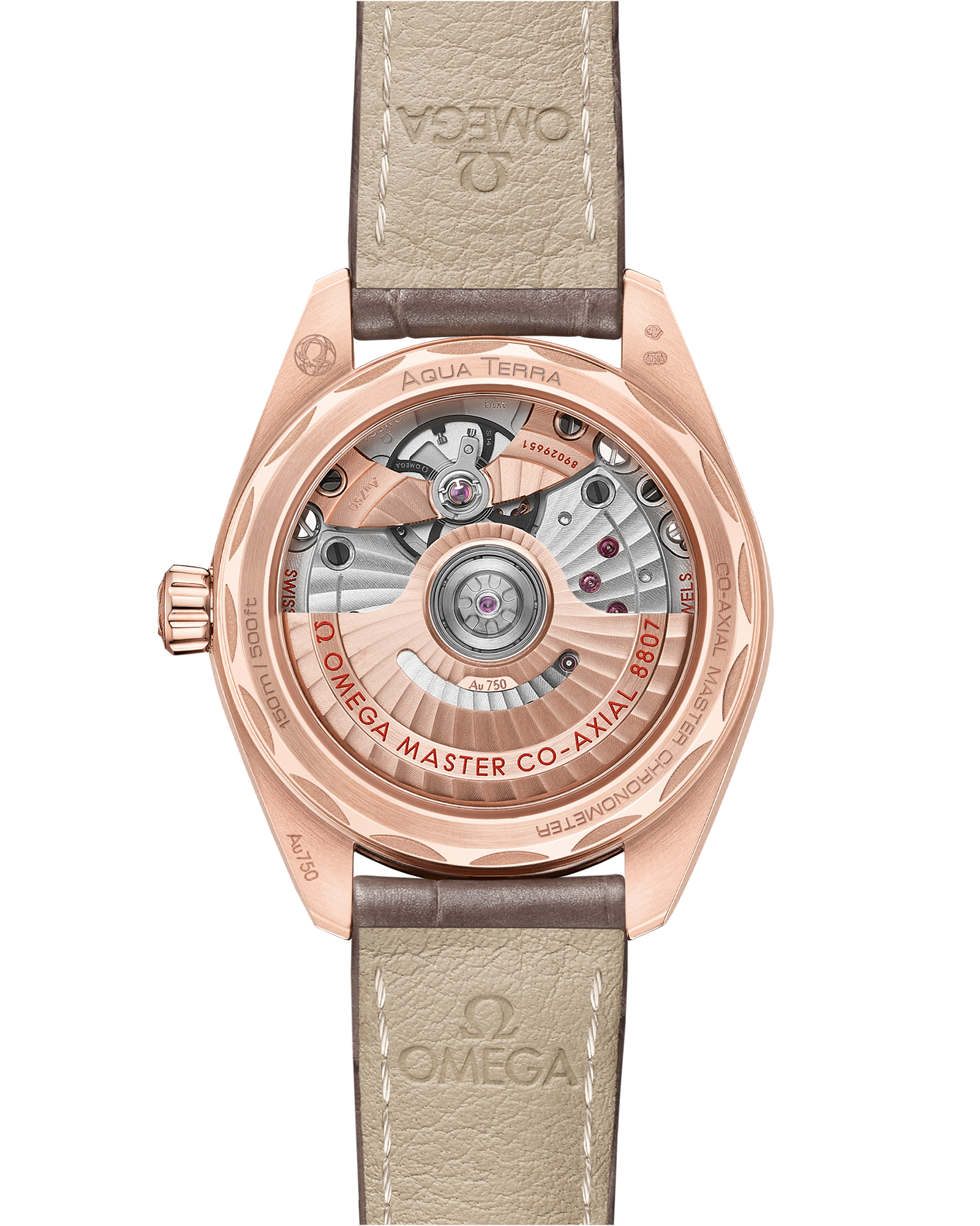 海马系列 AQUA TERRA 150米腕表 34毫米, Sedna™ 18k金表壳 搭配 皮表带 - 220.58.34.20.99.006 - 影像 2