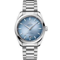 海马系列 AQUA TERRA 150米腕表 38毫米, 精钢表壳 搭配 精钢表链 - 22010382003004