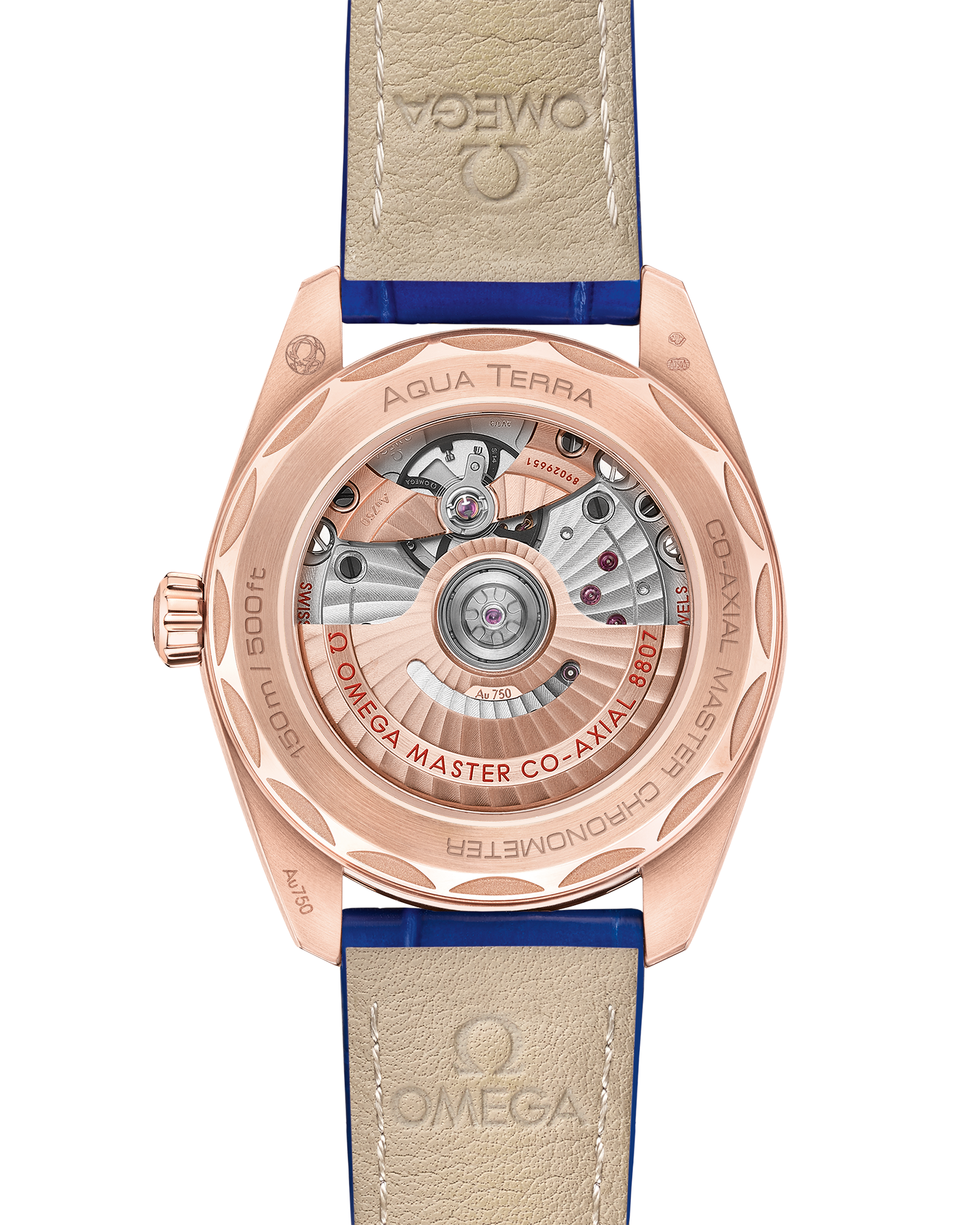 海马系列 AQUA TERRA 150米腕表 38毫米, Sedna™ 18k金表壳 搭配 皮表带 - 220.58.38.20.99.002 - 影像 2