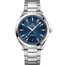 海马系列 AQUA TERRA 150米腕表 41毫米, 精钢表壳 搭配 精钢表链 - 22010412103004