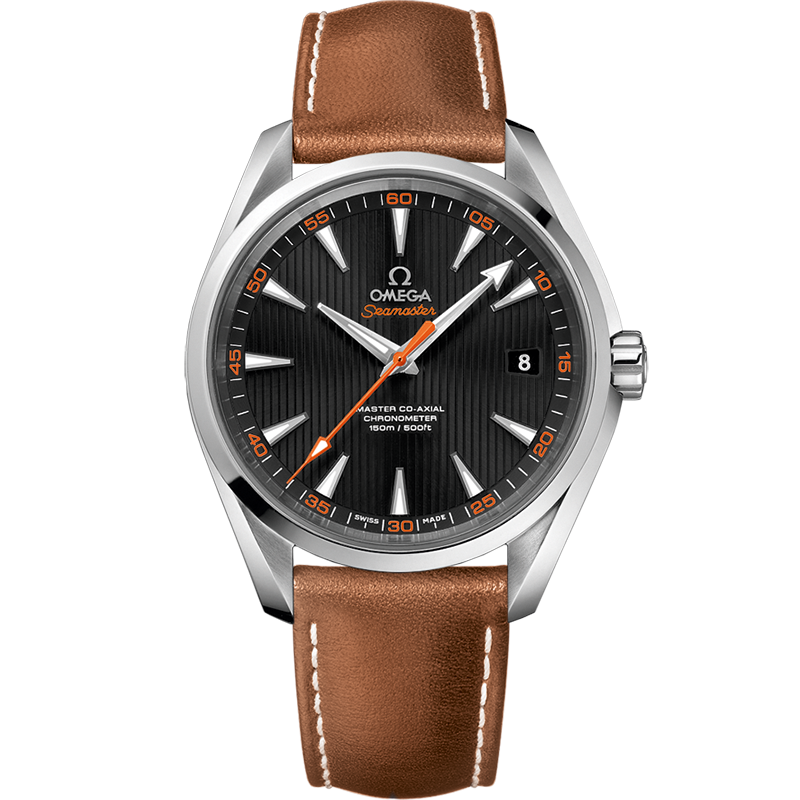 海马系列 AQUA TERRA 150米腕表 41.5毫米, 精钢表壳 搭配 皮表带 - 231.12.42.21.01.002 - 影像 1