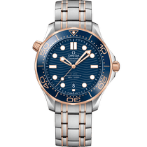 海马系列 42毫米, 精钢-Sedna™ 18k金表壳 搭配 精钢-Sedna™ 18k金表链 - 21020422003002