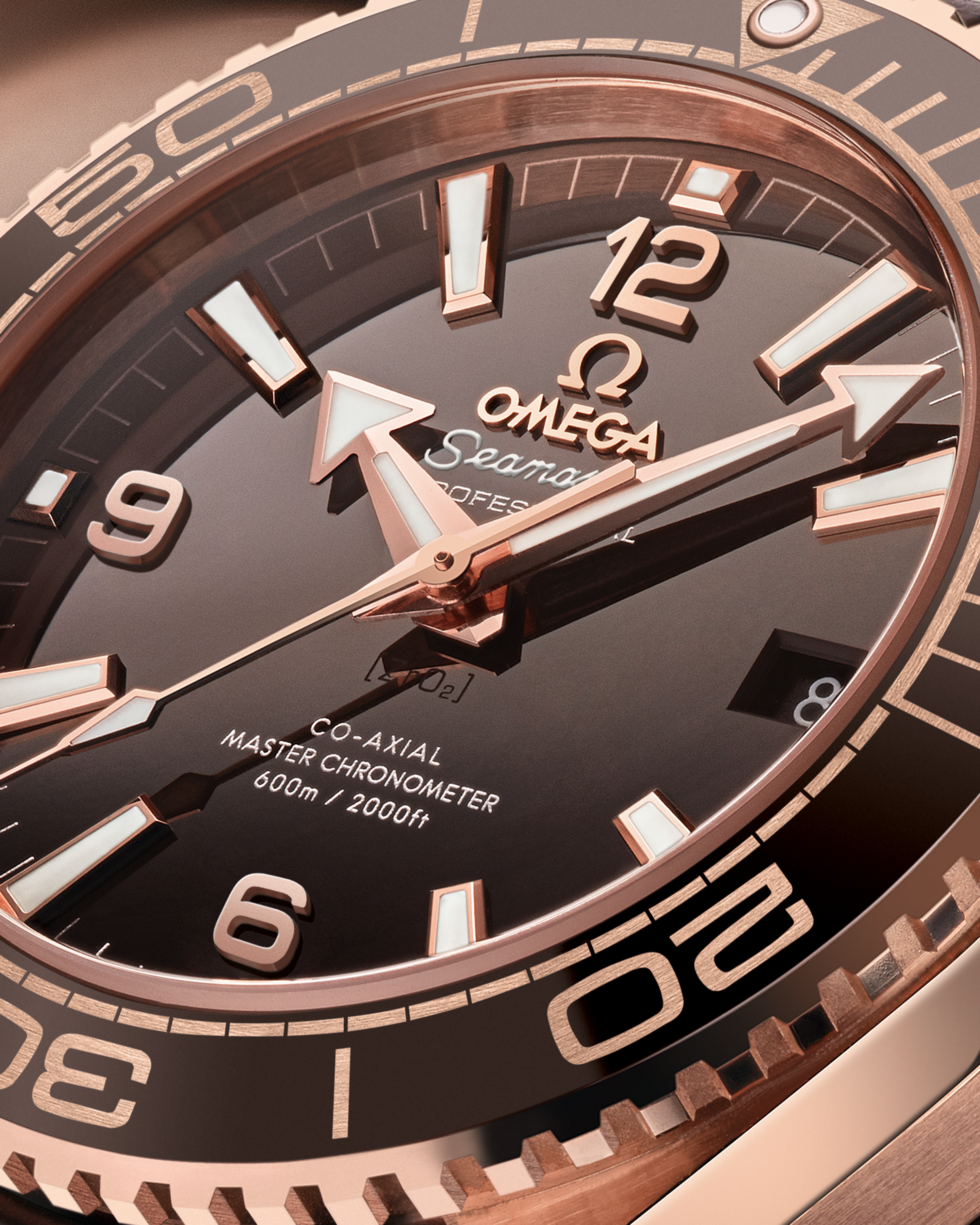 海马系列 海洋宇宙600米 39.5毫米, Sedna™ 18k金表壳 搭配 内侧橡胶皮表带 - 215.63.40.20.13.001 - 影像 3