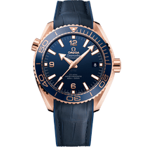 海马系列 海洋宇宙600米 43.5毫米, Sedna™ 18k金表壳 搭配 内侧橡胶皮表带 - 21563442103001