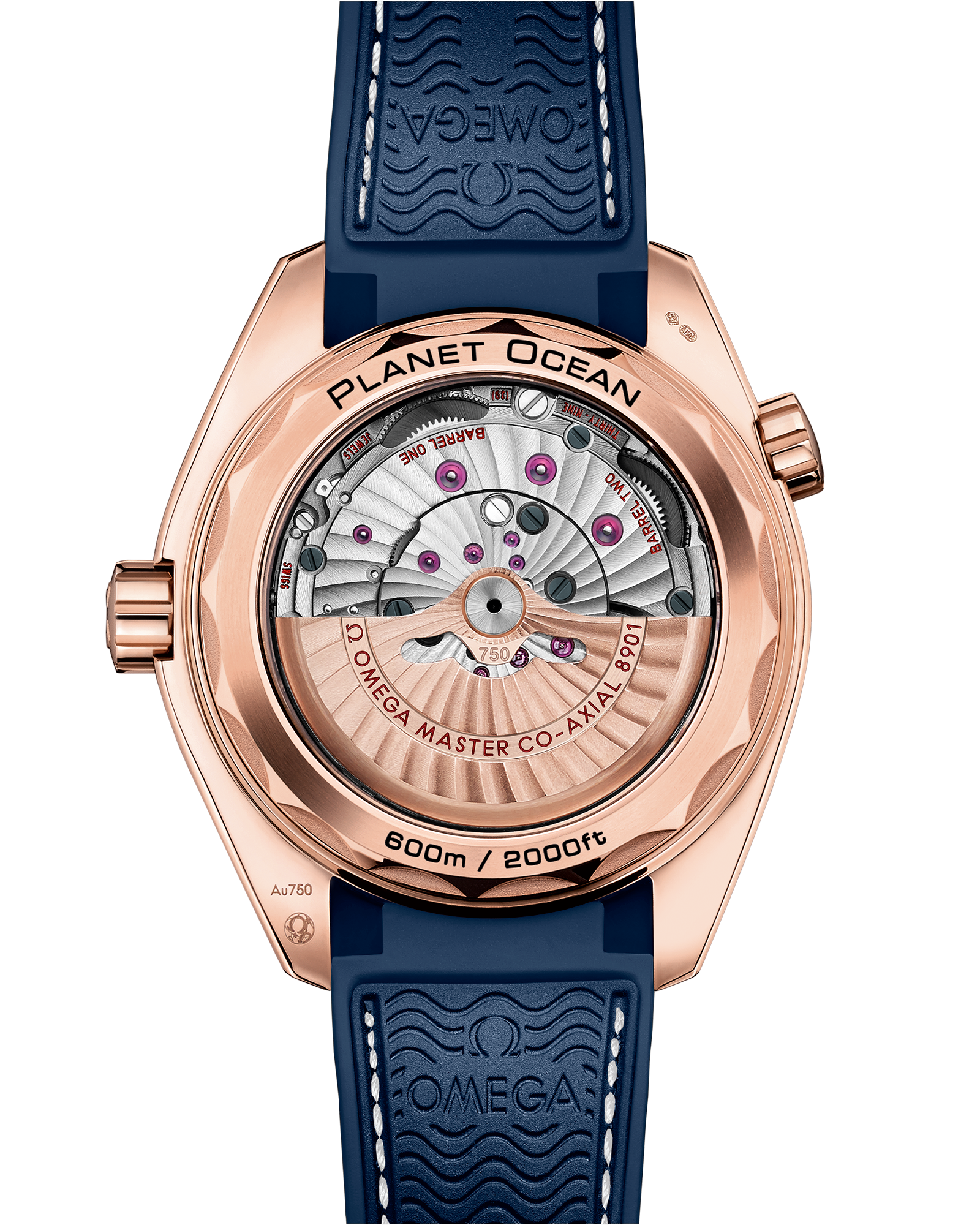 海马系列 海洋宇宙600米 43.5毫米, Sedna™ 18k金表壳 搭配 内侧橡胶皮表带 - 215.63.44.21.03.001 - 影像 2