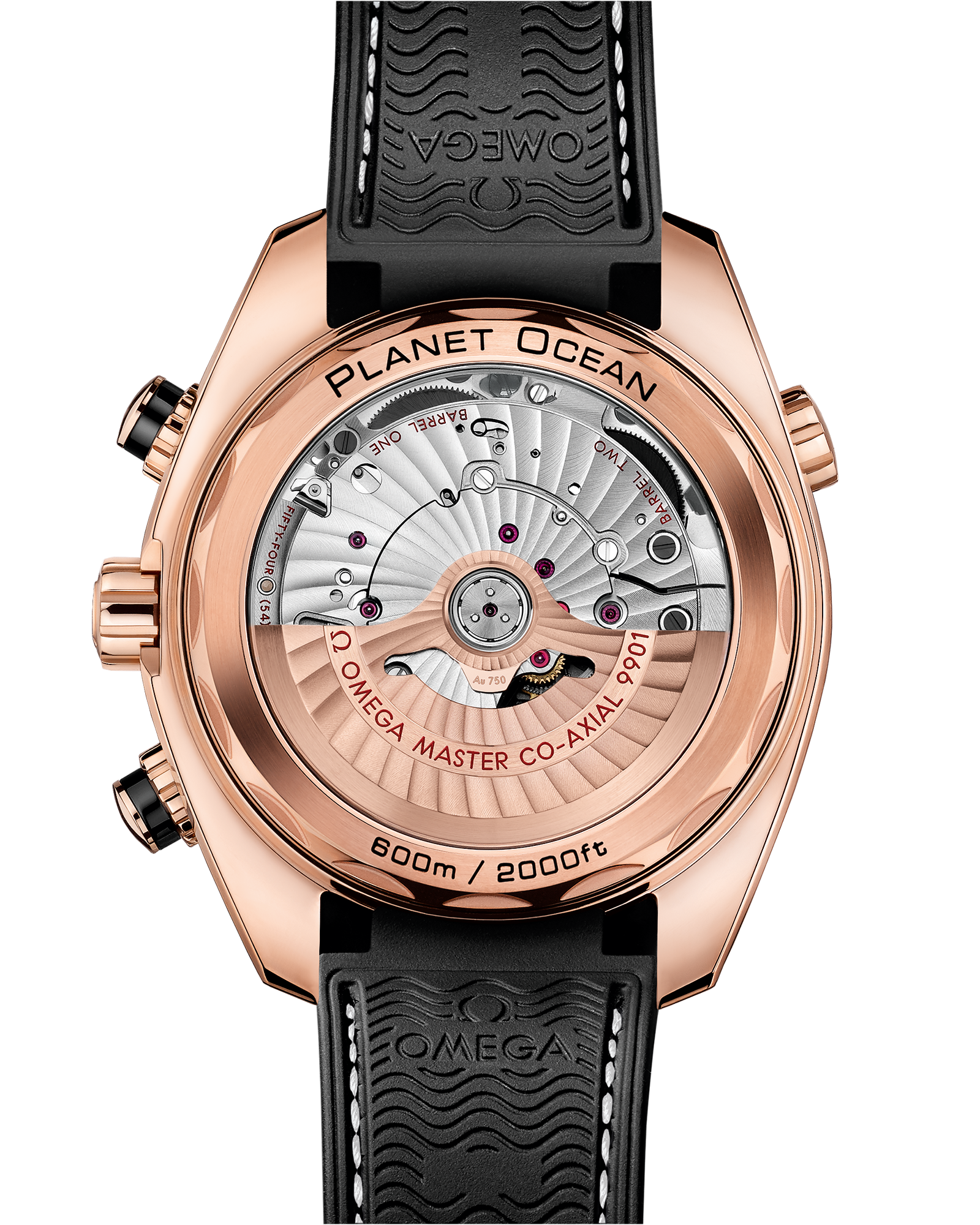 海马系列 海洋宇宙600米 45.5毫米, Sedna™ 18k金表壳 搭配 内侧橡胶皮表带 - 215.63.46.51.01.001 - 影像 2