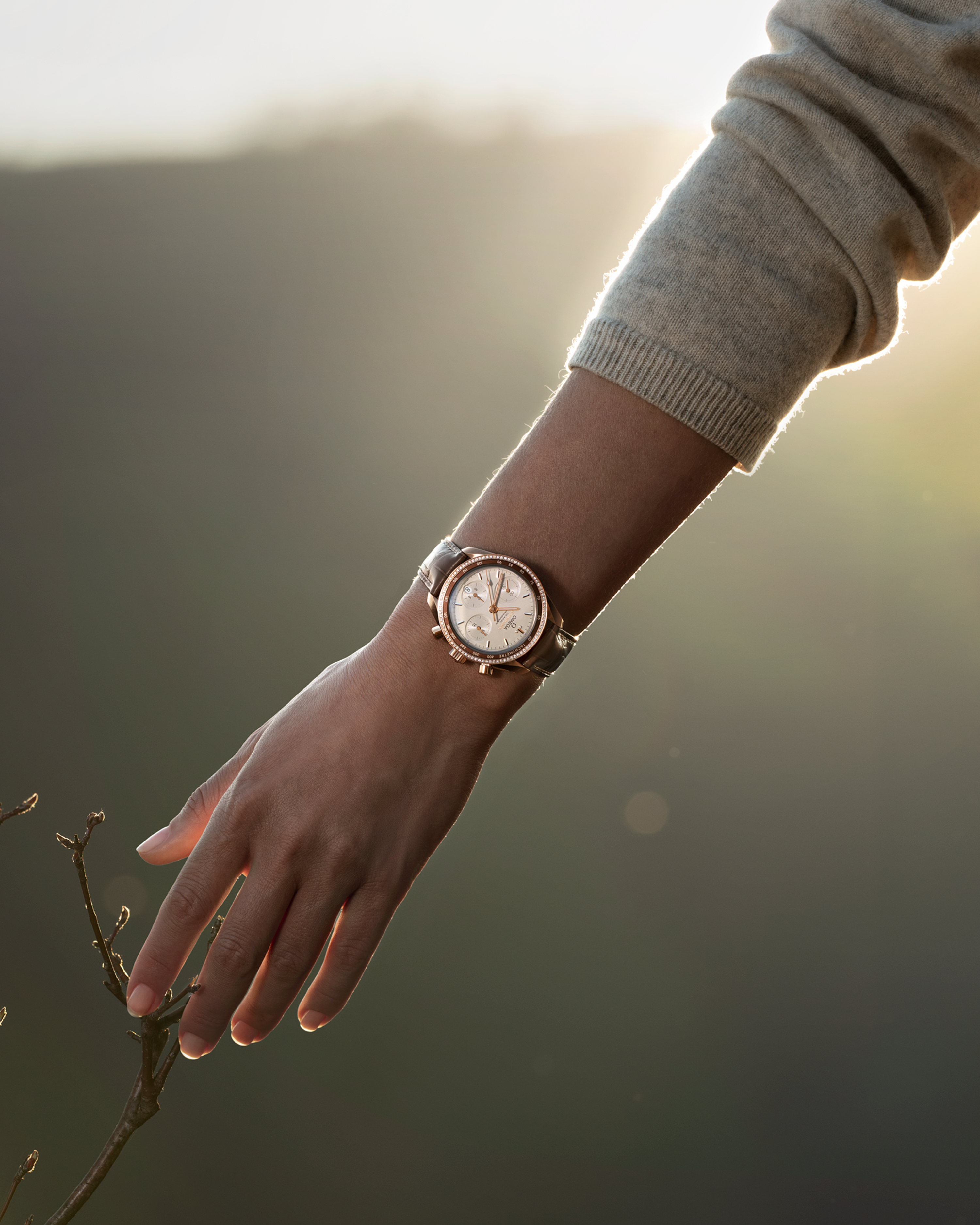 超霸系列 超霸38毫米腕表 38毫米, Sedna™ 18k金表壳 搭配 皮表带 - 324.68.38.50.02.003 - 影像 5