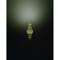 星座<span class="nowrap">系列</span> Omega - BA 768.0805
