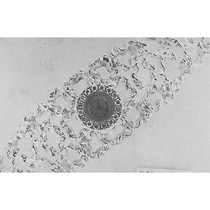 ‑ Other<span class="nowrap"> ‑</span> Jewellery - BA 811.0154