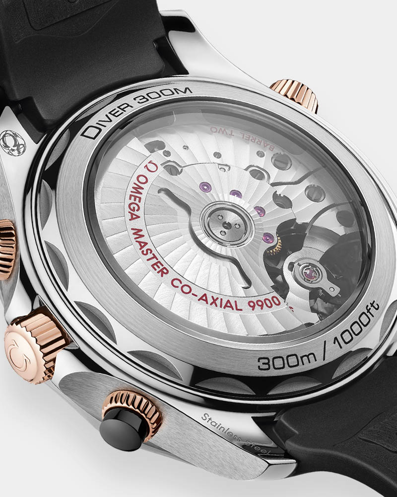 The Caseback